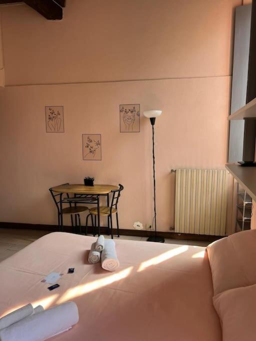 Minimal Studio Con Travi A Vista 皮亚琴察 外观 照片